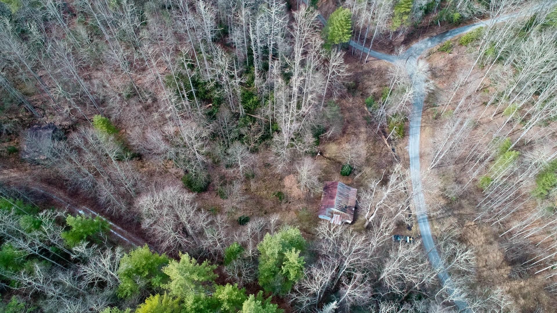 1-acre Reece Hollow Road Del Rio, TN 37727 - Photo 8 of 32 DJI_0078