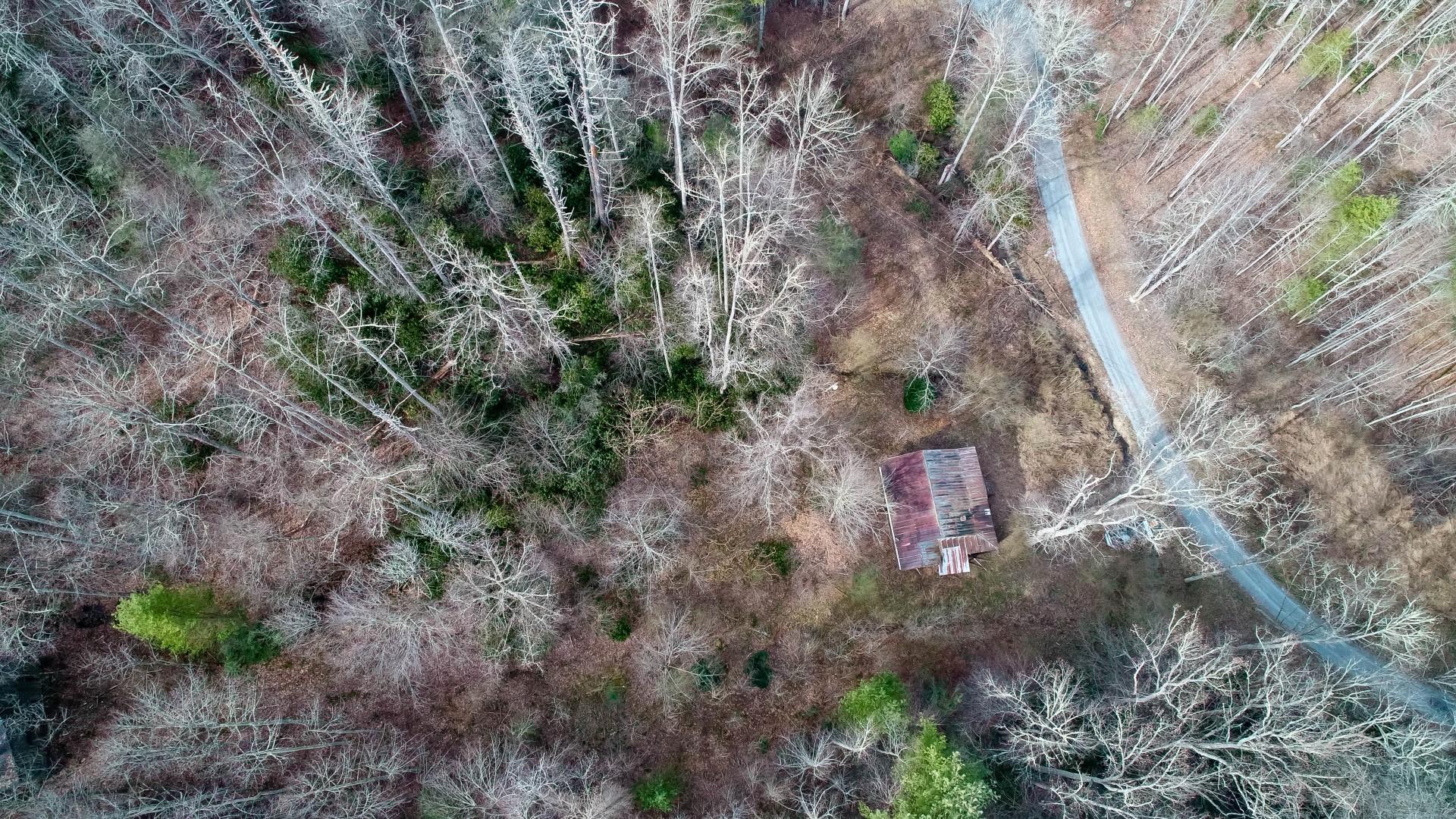 1-acre Reece Hollow Road Del Rio, TN 37727 - Photo 9 of 32 DJI_0079