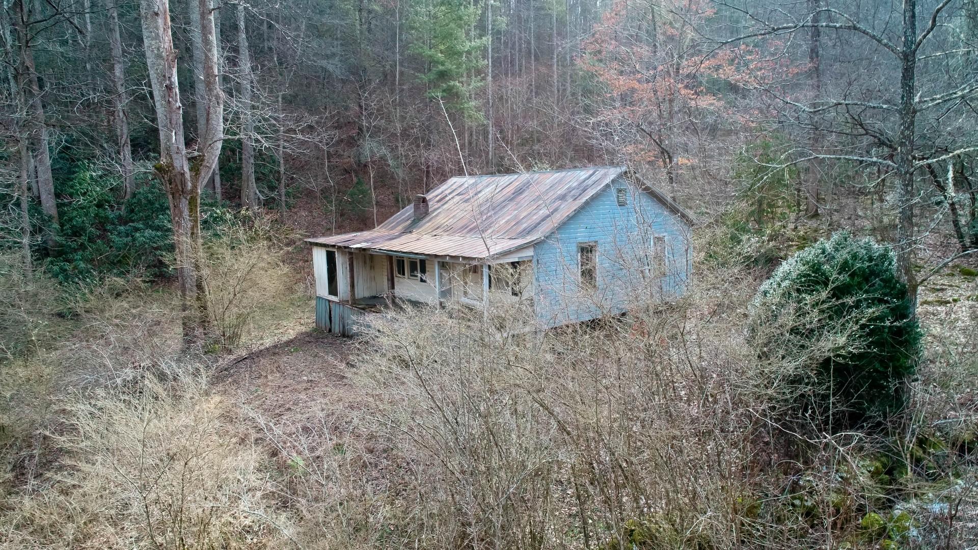 1-acre Reece Hollow Road Del Rio, TN 37727 - Photo 10 of 32 DJI_0080