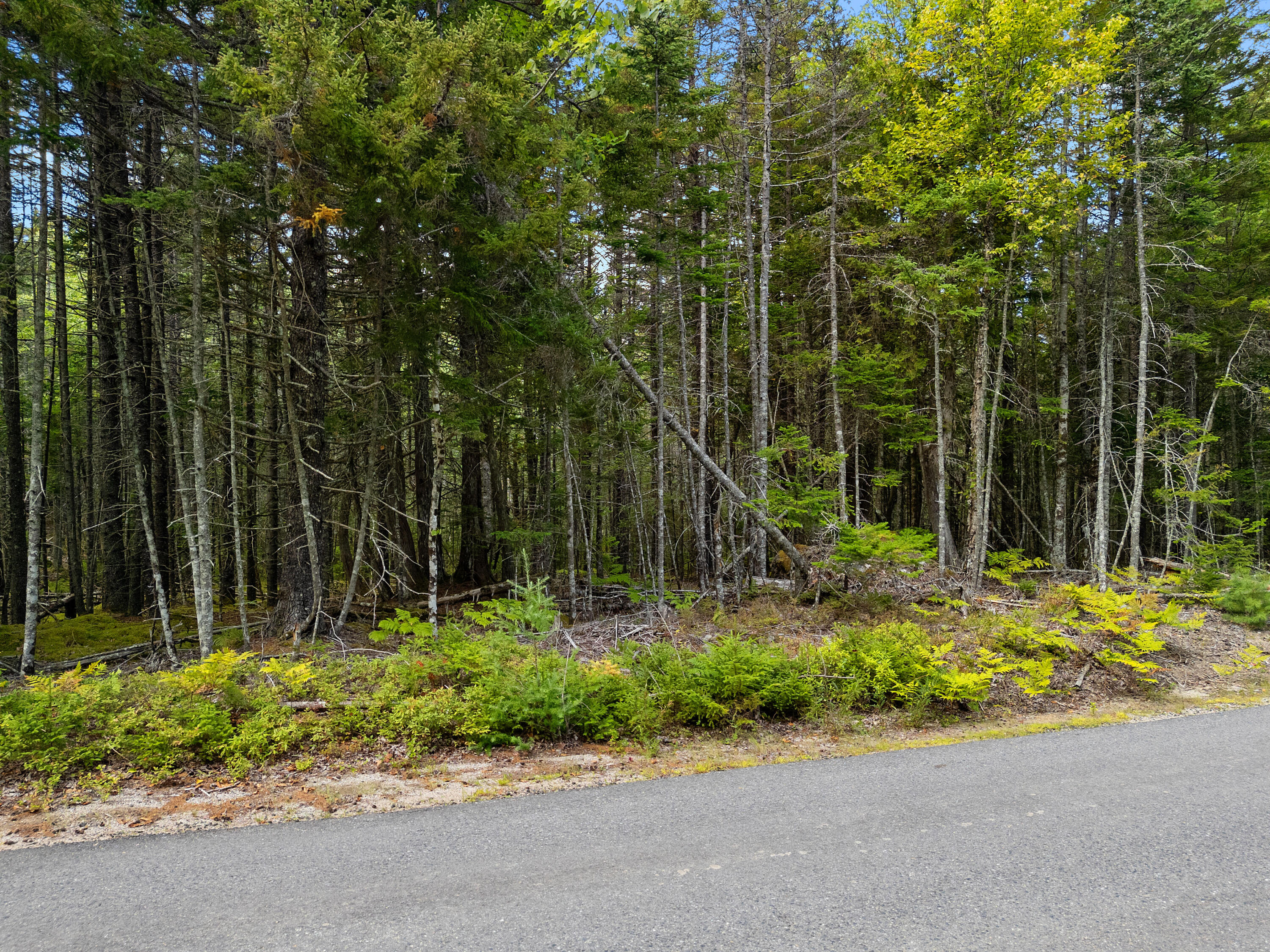 Lot 1 Peninsula Shore Road Corea, ME 04624 - Photo 7 of 23