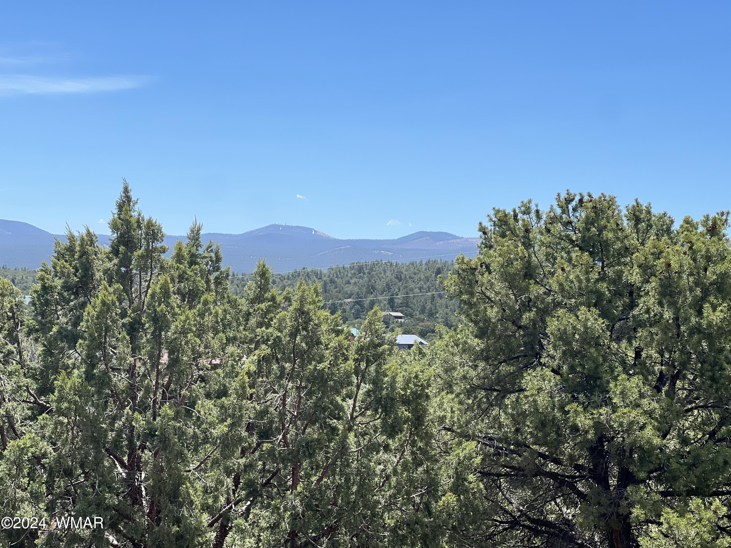 6 Co Road Vernon, AZ 85940 - Photo 13 of 38 IMG_8479