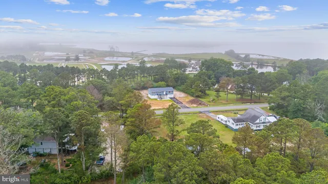 an aerial view of residential houses with outdoor space and trees