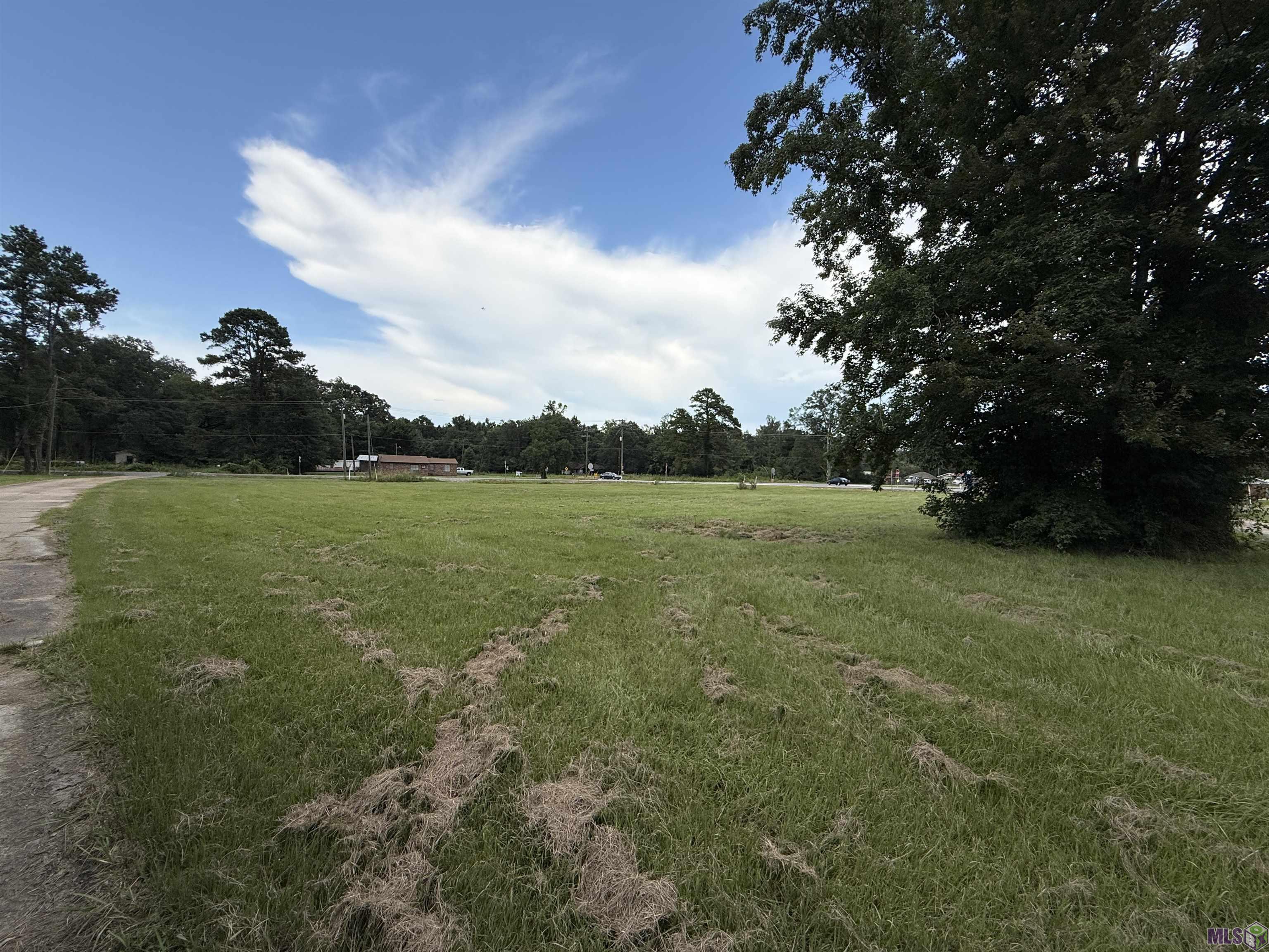 Tbd Tbd Springfield Road Walker, LA 70785 - Photo 4 of 7