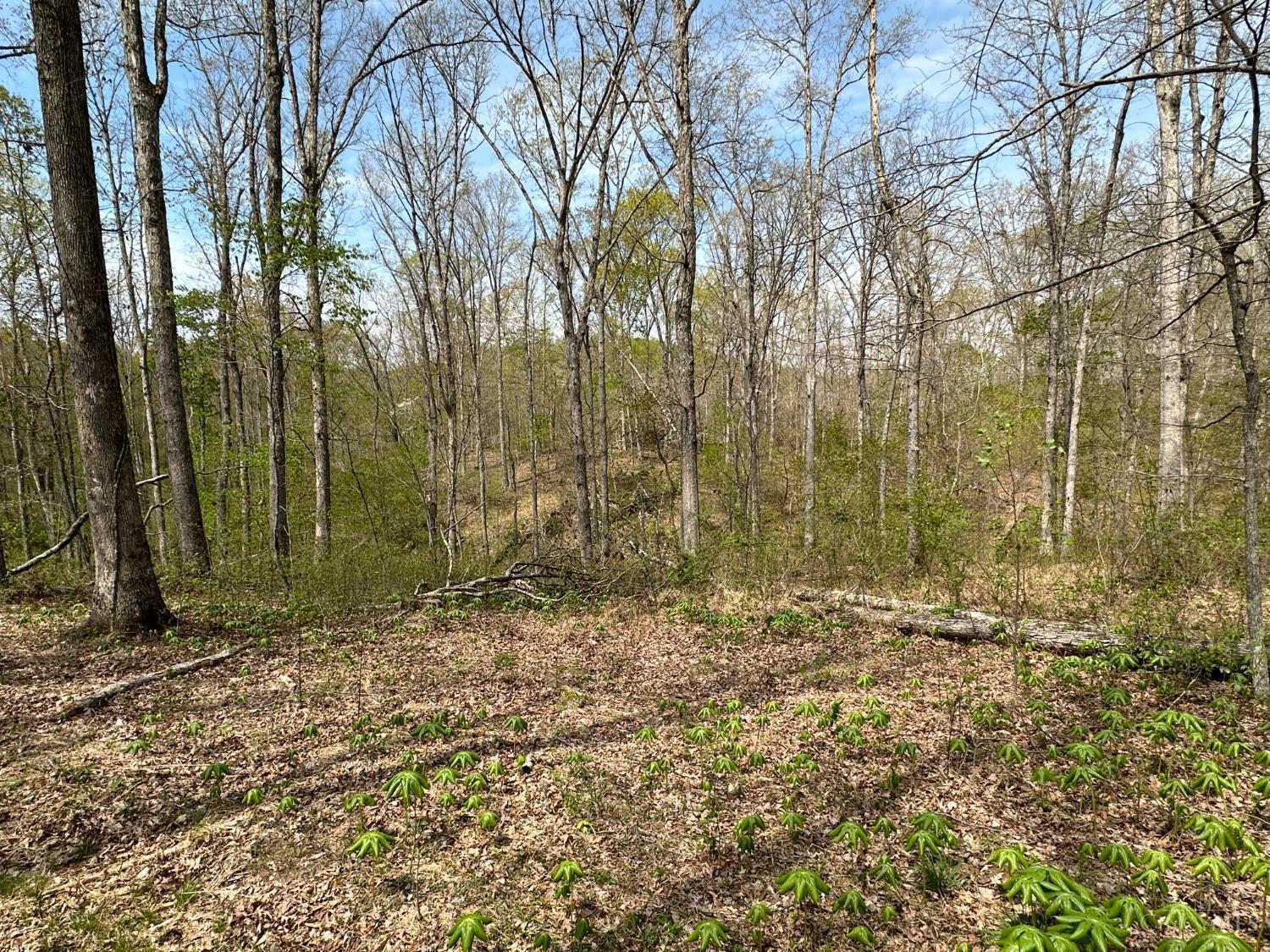 0 Hackleshin Road Peebles, OH 45660 - Photo 11 of 18