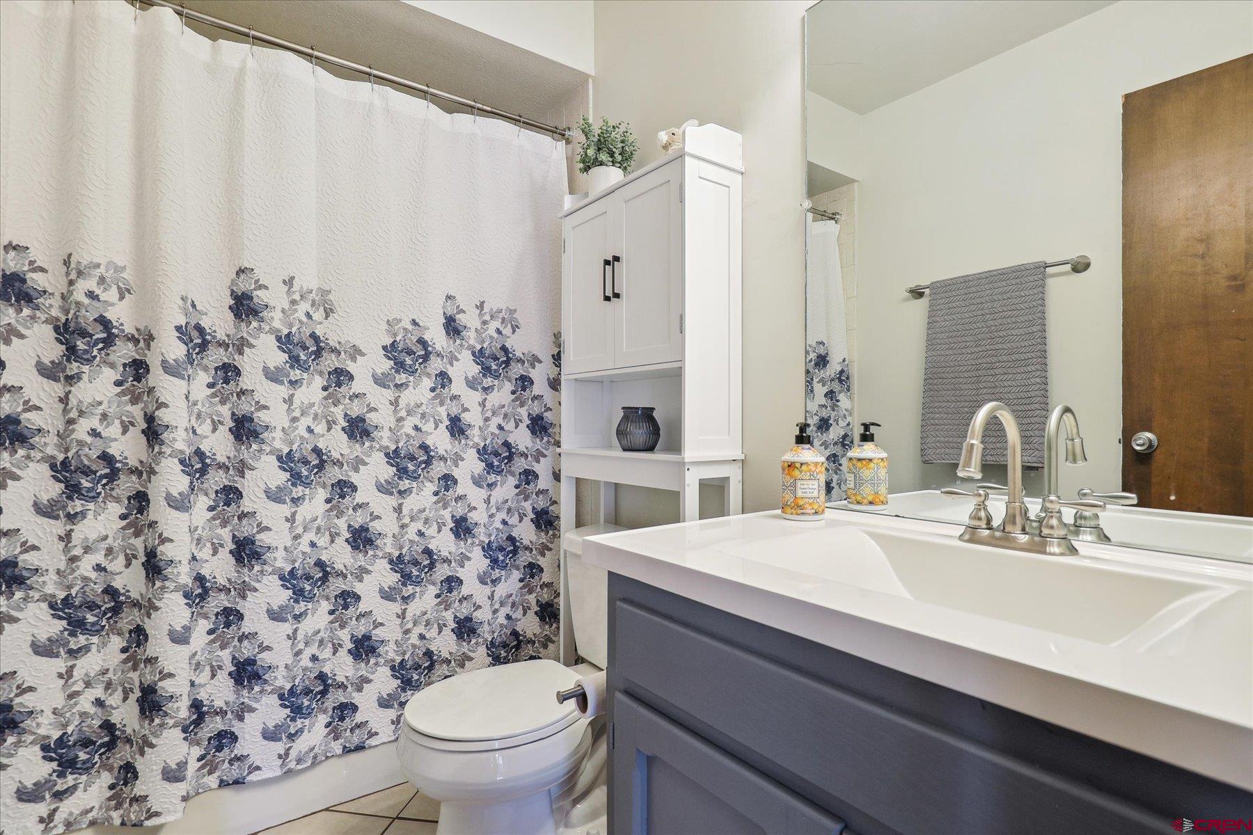 202 Pine Ridge Loop Durango, CO 81301 - Photo 14 of 33 a bathroom with a sink a toilet and a mirror