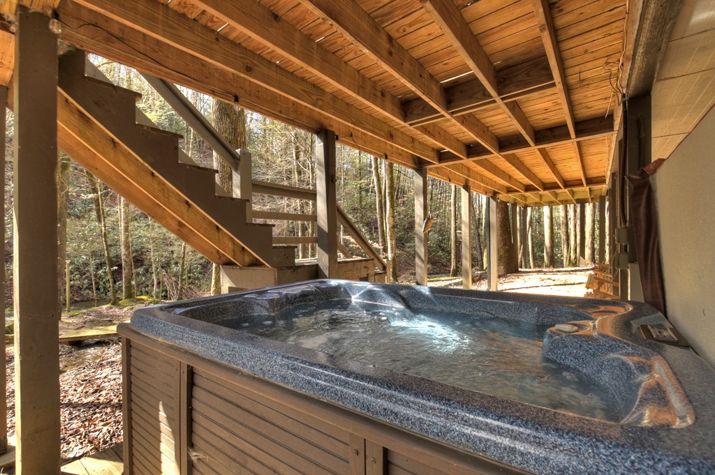 706 Laurel Ridge Drive Blue Ridge, GA 30513 - Photo 6 of 93 Gallery Image 6