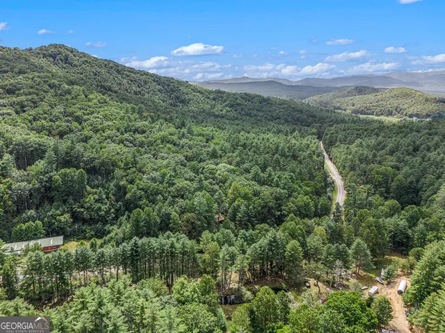 a view of a city with lush green forest