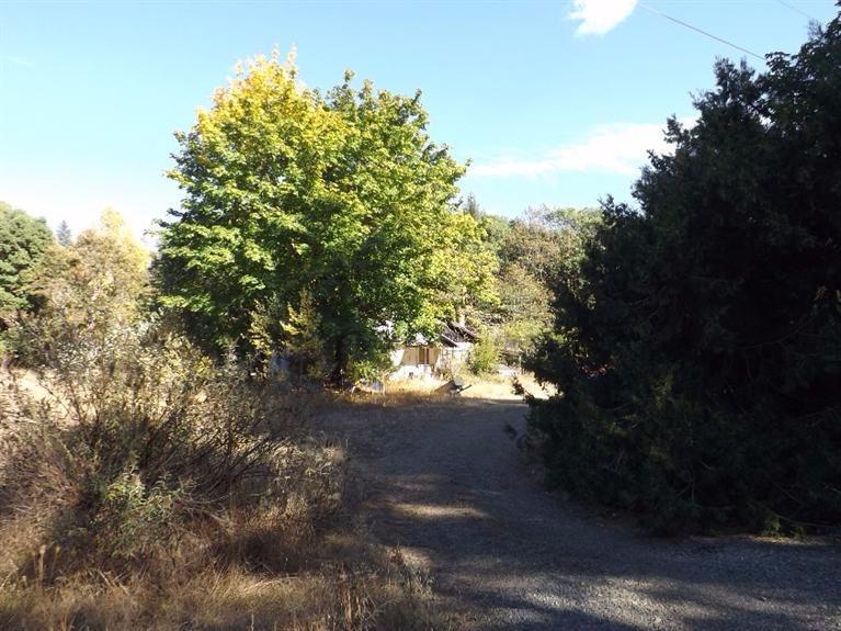 4840 Dick George Road Cave Junction, OR 97523 - Photo 6 of 18 Driveway entrance taken from Dick George