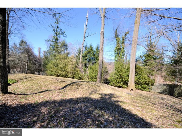 2322 Deer Path Road Huntingdon Valley, PA 19006 - Photo 23 of 25 View