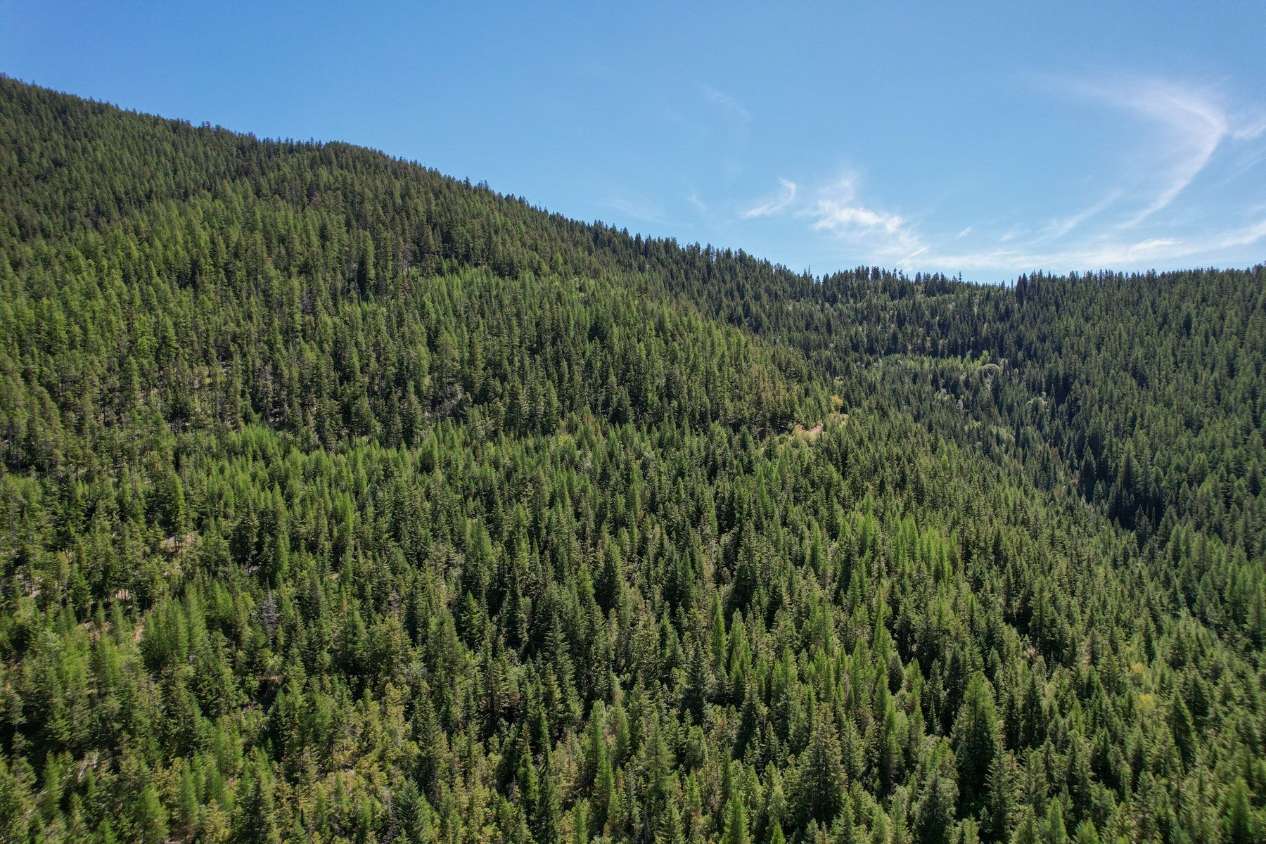 1 Pardee Flat Road Superior, MT 59872 - Photo 14 of 35 Gallery Image 14