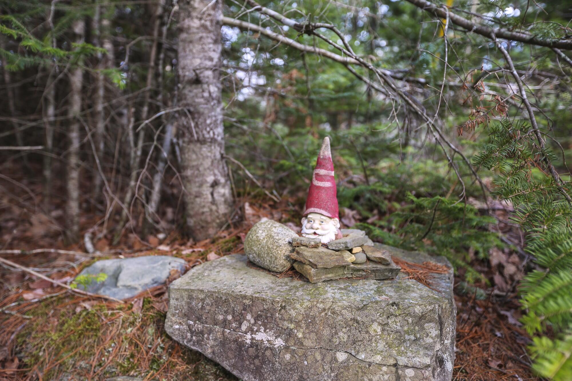 196 Woodmans Mill Road Searsmont, ME 04973 - Photo 38 of 45 196WoodsmanRdSearsmont-31