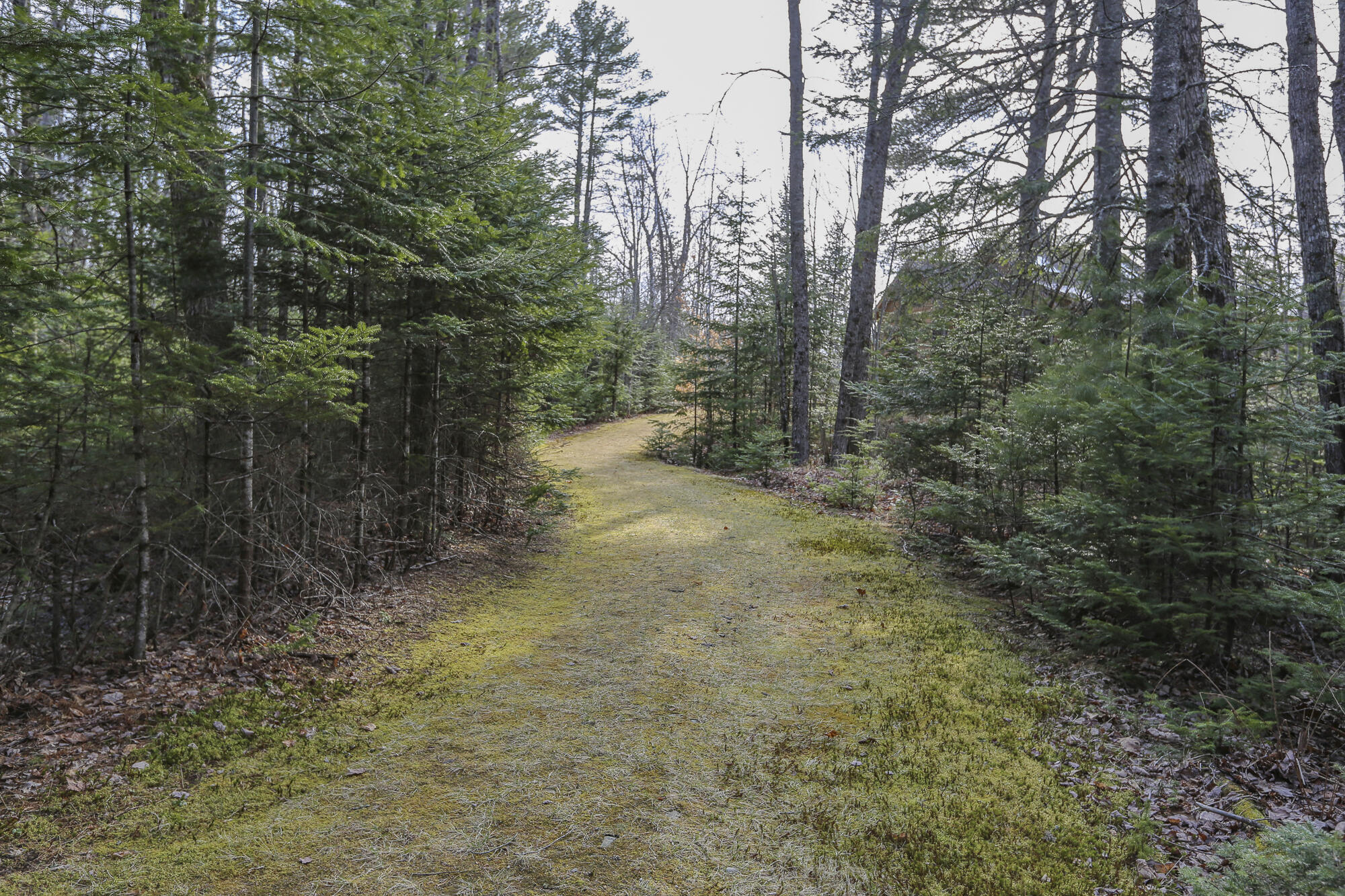 196 Woodmans Mill Road Searsmont, ME 04973 - Photo 39 of 45 196WoodsmanRdSearsmont2-7