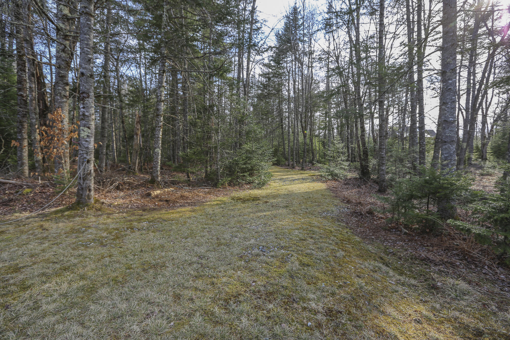 196 Woodmans Mill Road Searsmont, ME 04973 - Photo 40 of 45 196WoodsmanRdSearsmont2-6