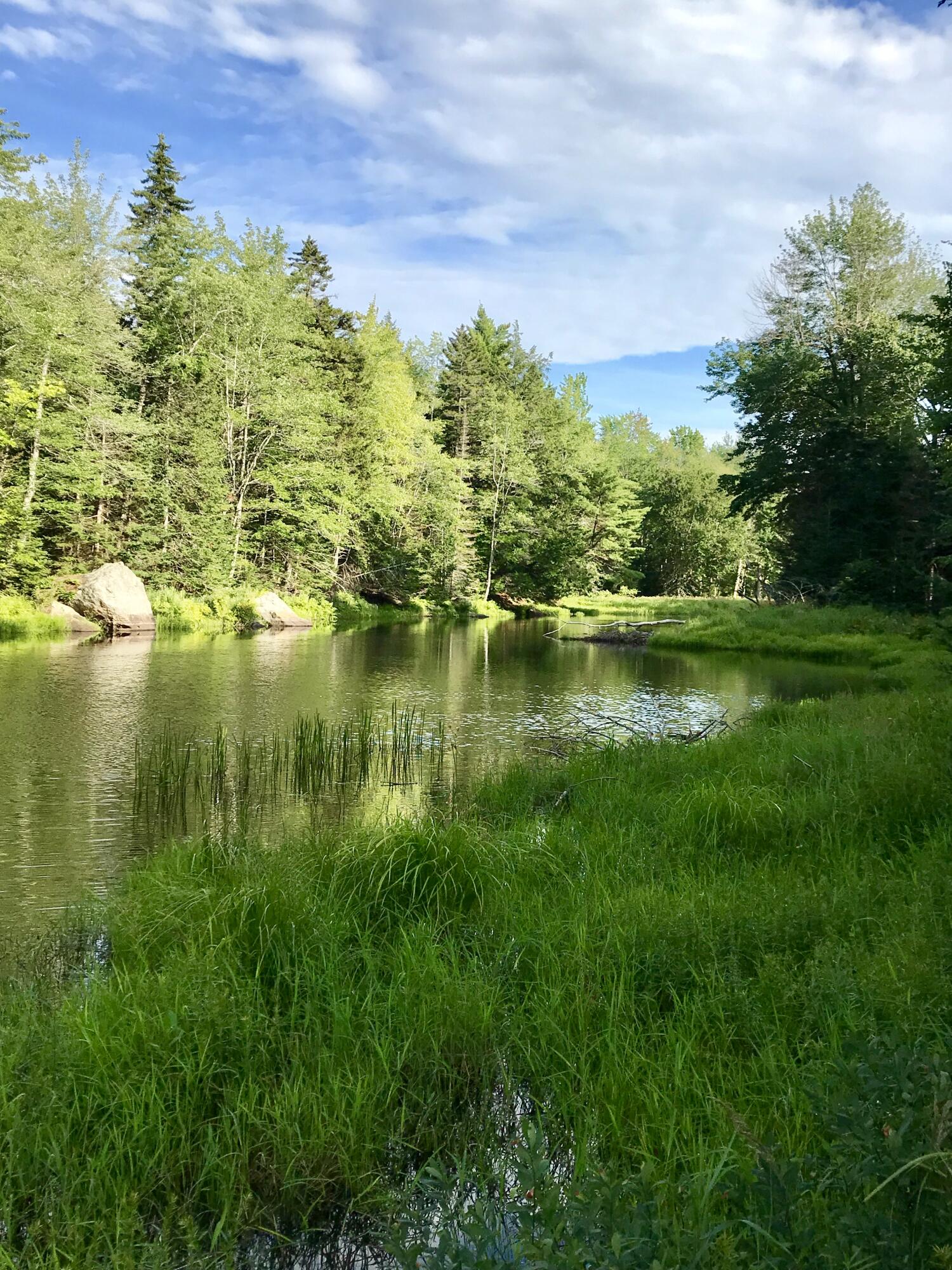 196 Woodmans Mill Road Searsmont, ME 04973 - Photo 41 of 45 IMG_1845