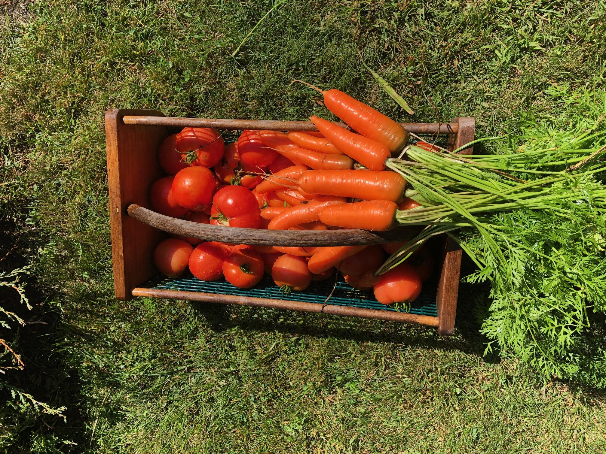 196 Woodmans Mill Road Searsmont, ME 04973 - Photo 45 of 45 IMG_0879 (1)