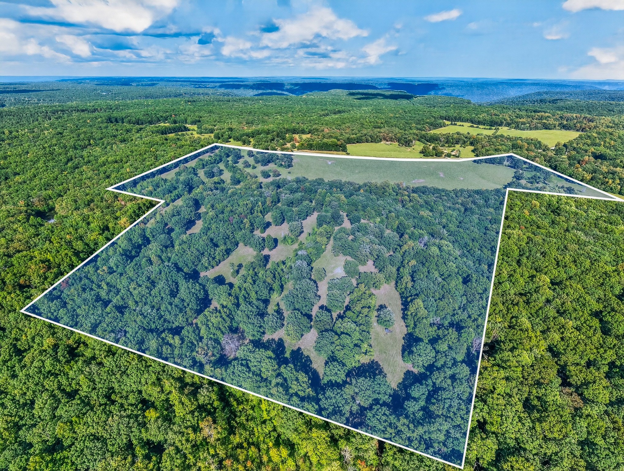 4000 Jumpoff Road Sewanee, TN 37375 - Photo 3 of 68 Gallery Image 3