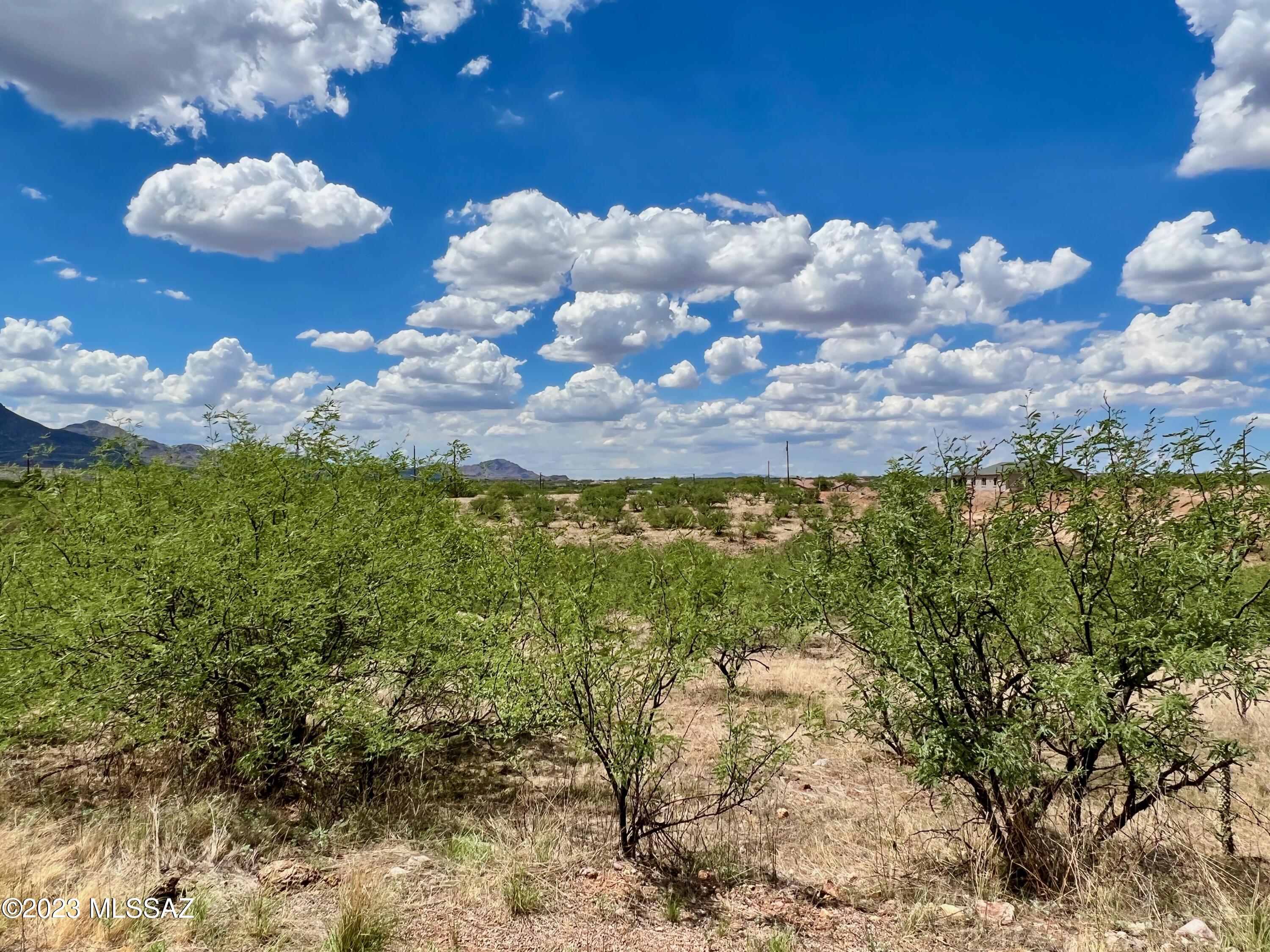 1199 Circulo Golfo, Unit 64 Rio Rico, AZ 85648 - Photo 15 of 29 a view of a interior in a yard