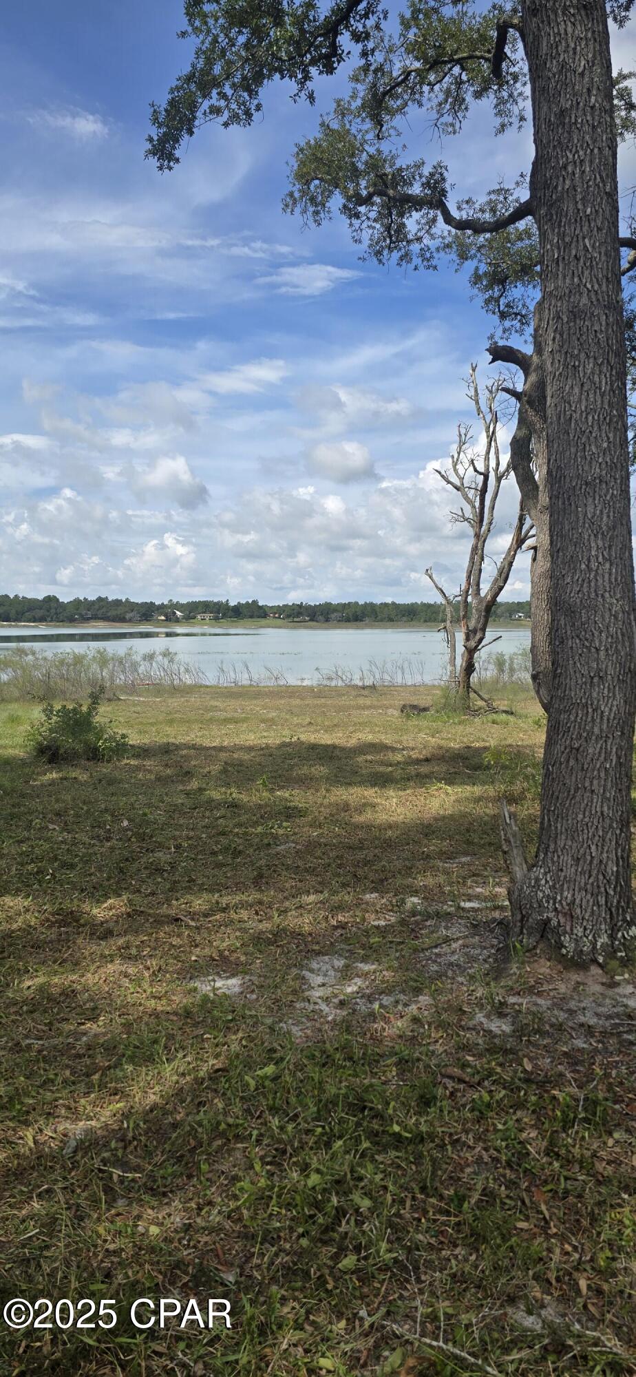 0 Ambassador Court Chipley, FL 32428 - Photo 3 of 4