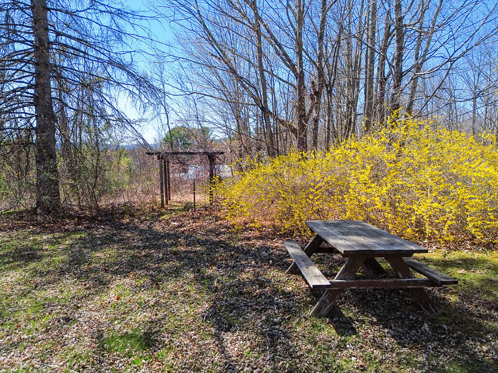 133 Bamford Hill Road Fayette, ME 04349 - Photo 7 of 62 17_DJI_0548_DxO_mls