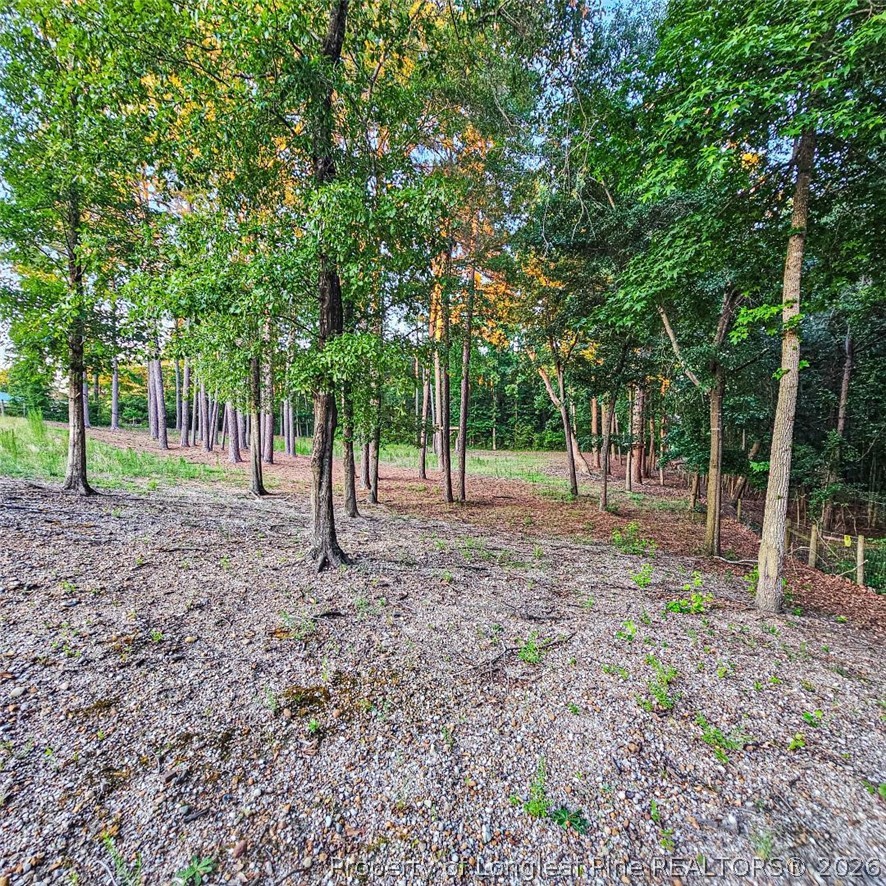 833 Brown Road Lillington, NC 27546 - Photo 5 of 23