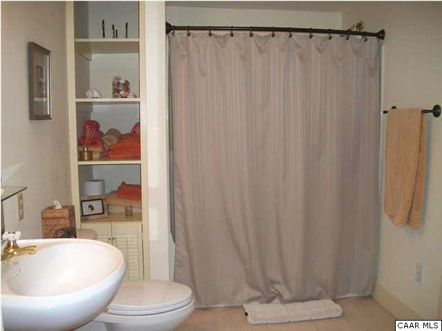 5462 Laurel Ridge Road Charlottesville, VA 22911 - Photo 49 of 50 a bathroom with a sink toilet and shower