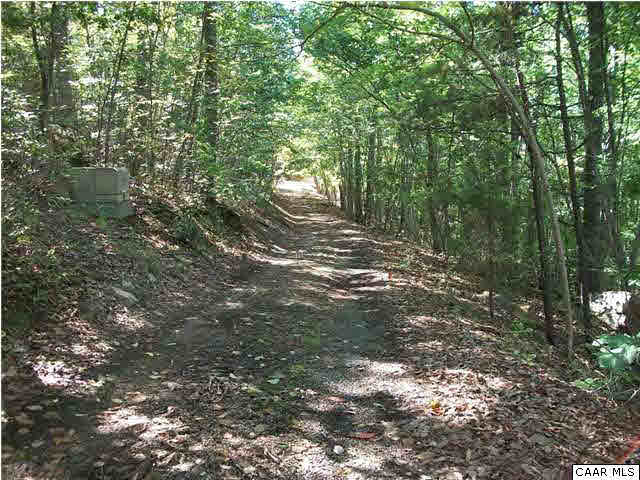 5462 Laurel Ridge Road Charlottesville, VA 22911 - Photo 8 of 50 a view of a forest with trees
