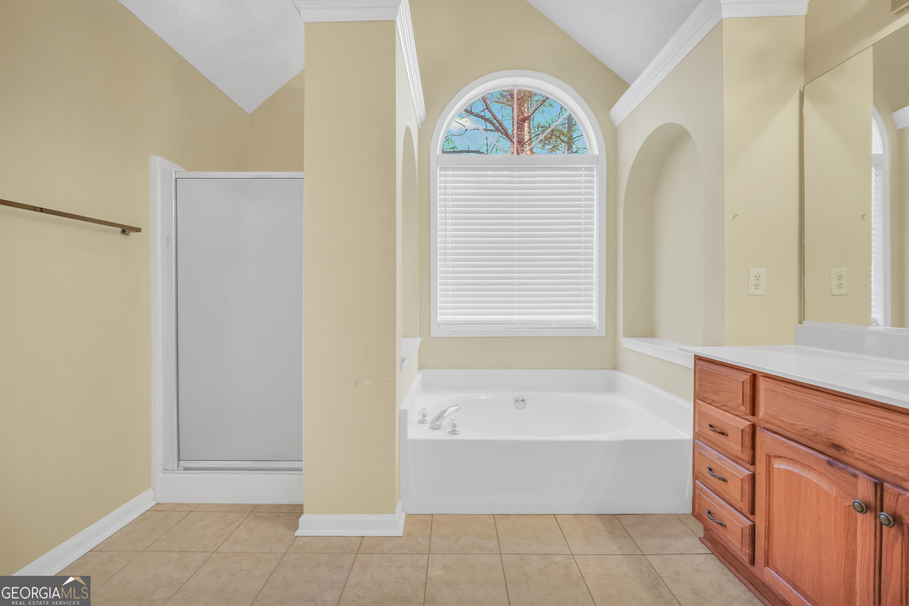 9247 Ryan Ridge Court Jonesboro, GA 30238 - Photo 23 of 36 Primary retreat en-suite