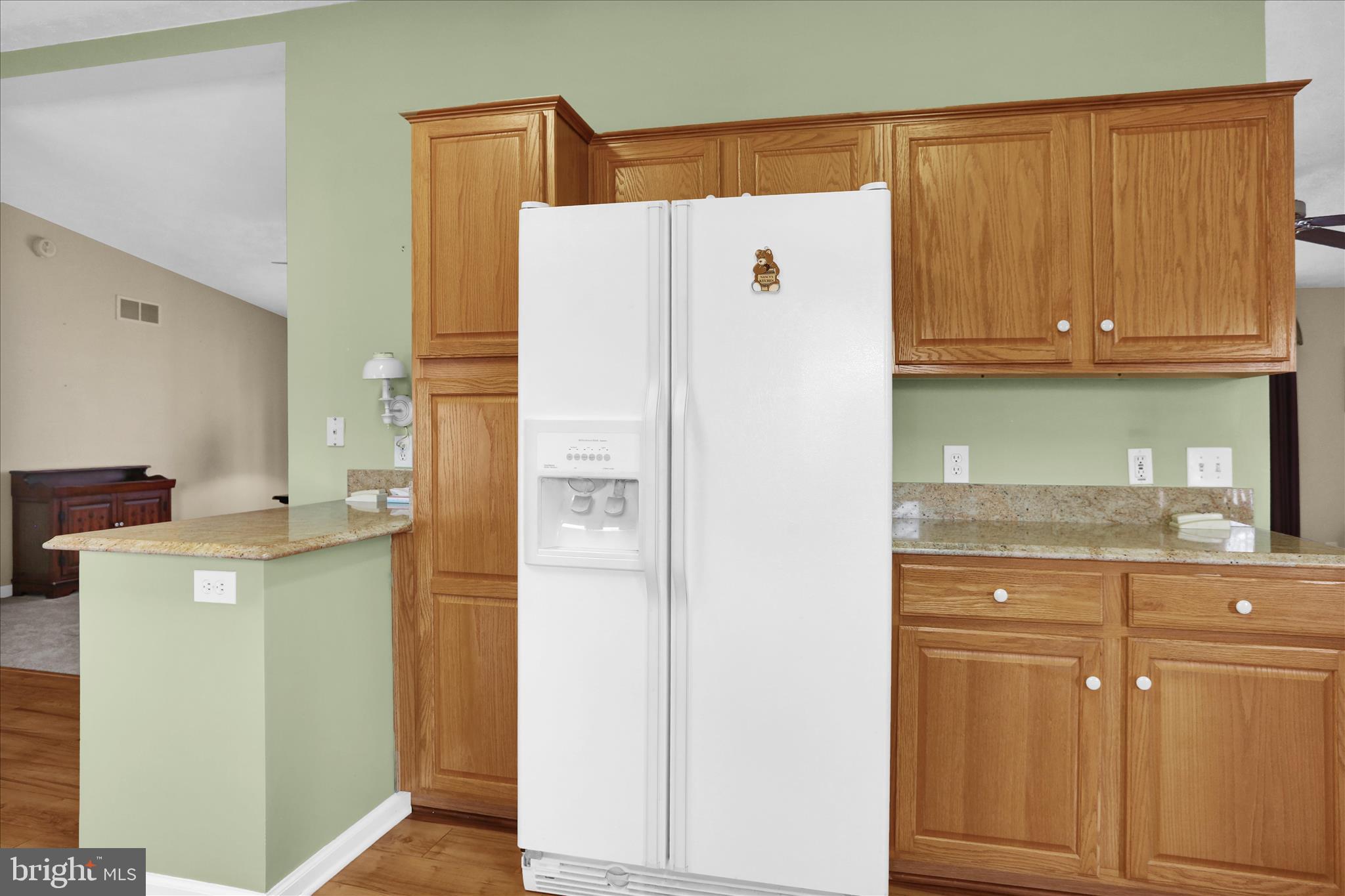 35356 Sand Piper Road Millsboro, DE 19966 - Photo 15 of 43 E26A9682