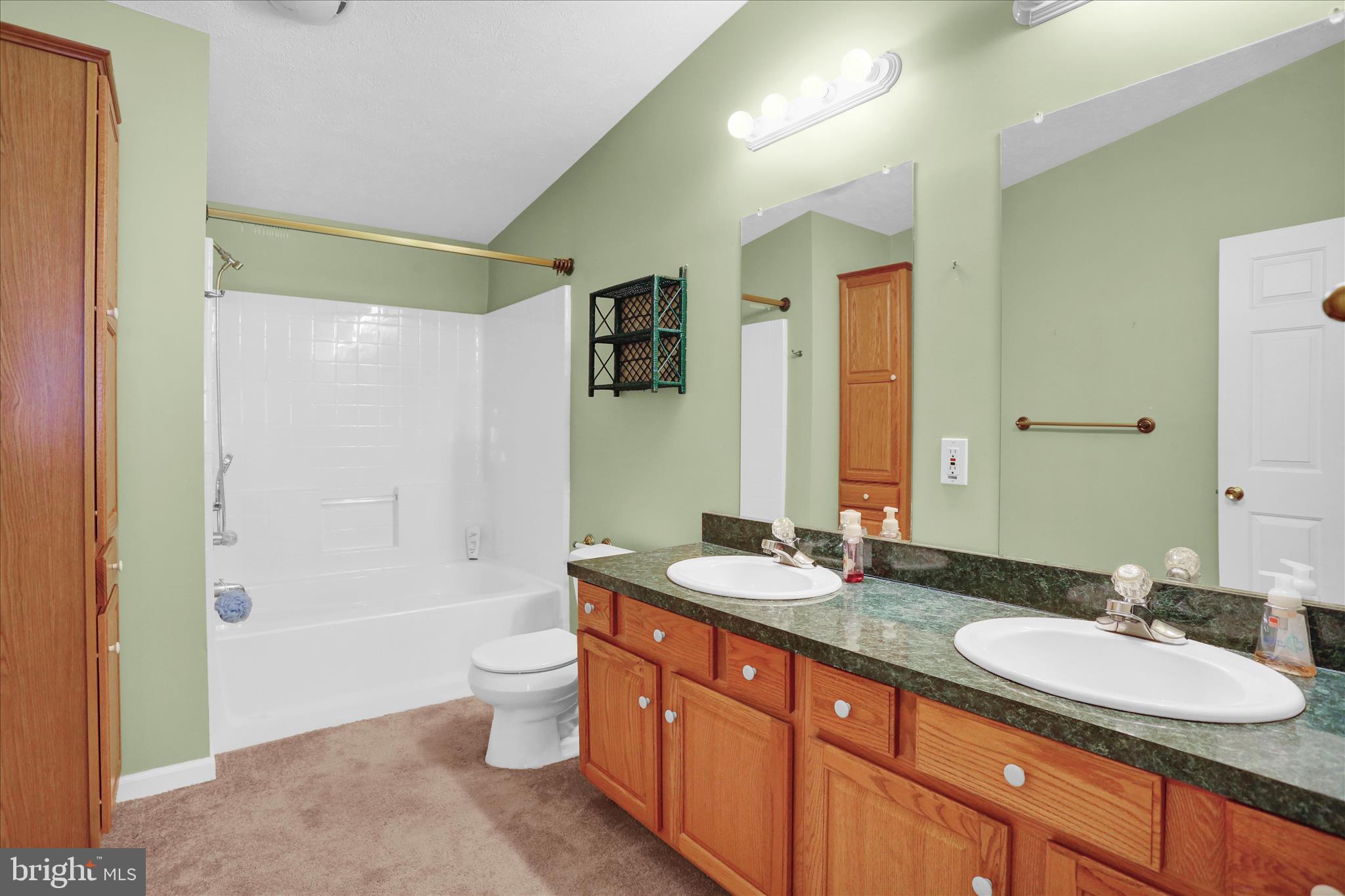 35356 Sand Piper Road Millsboro, DE 19966 - Photo 23 of 41 E26A9637