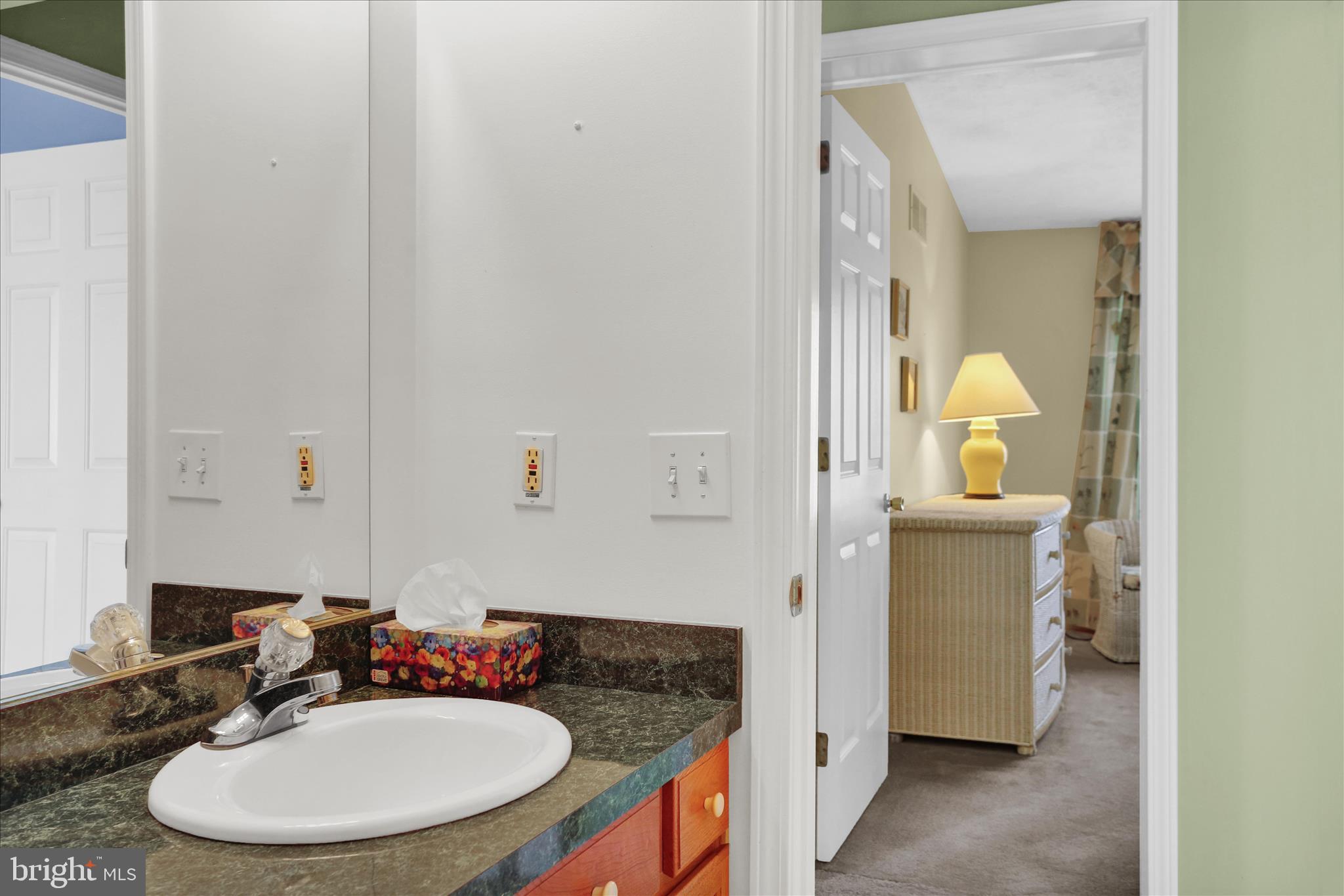 35356 Sand Piper Road Millsboro, DE 19966 - Photo 28 of 43 E26A9702