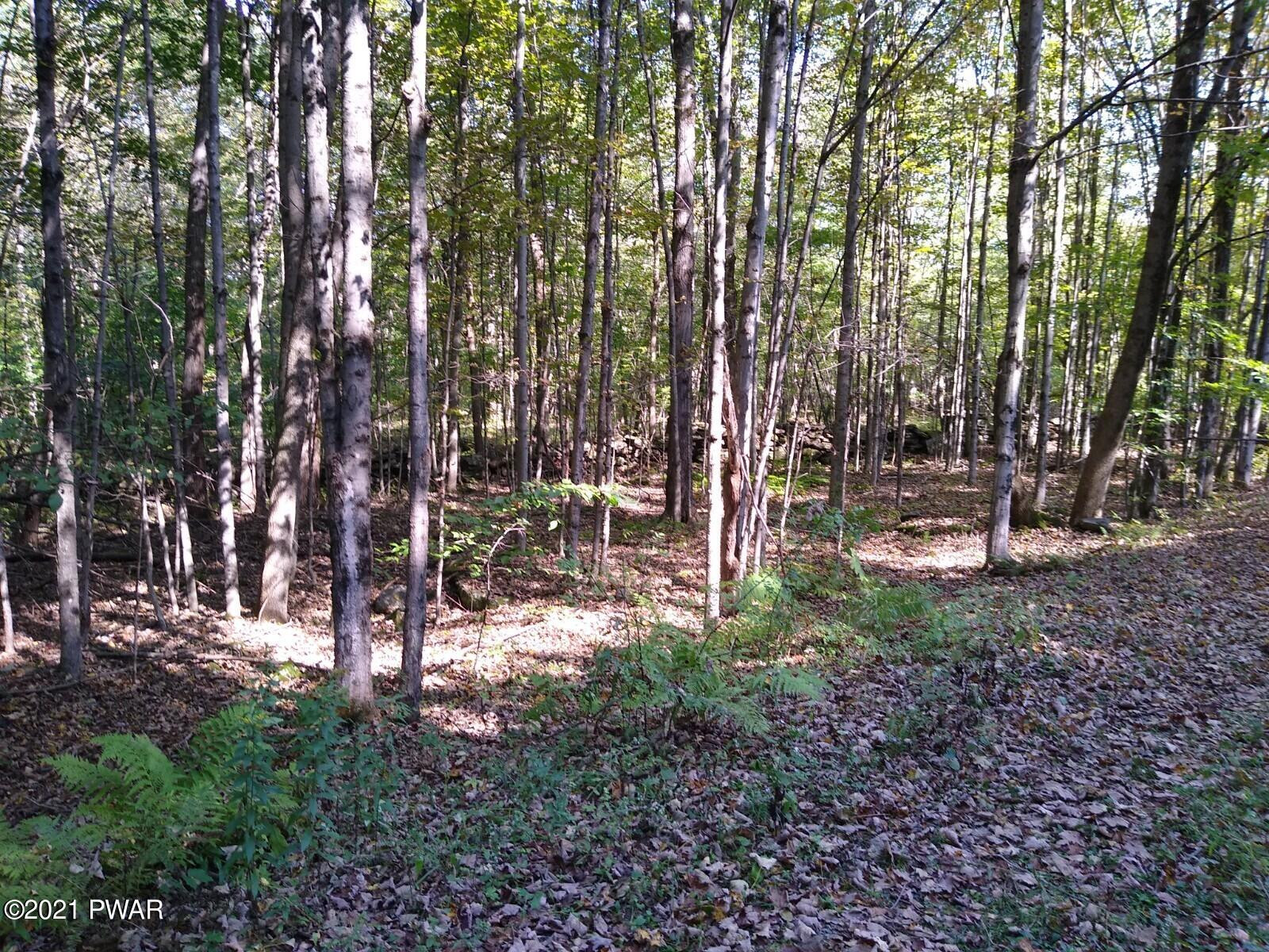159 Lester Road Equinunk, PA 18417 - Photo 2 of 14 IMG_20210918_145447334
