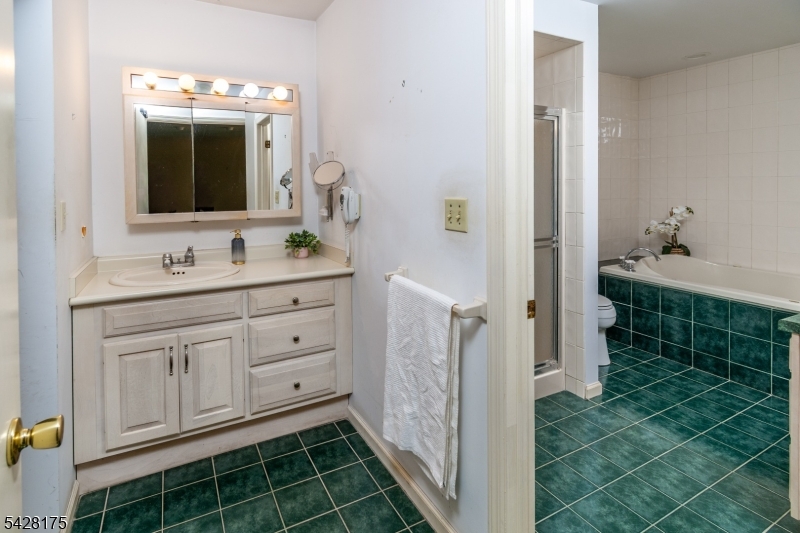 19 Floral Road Flemington, NJ 08822 - Photo 17 of 32