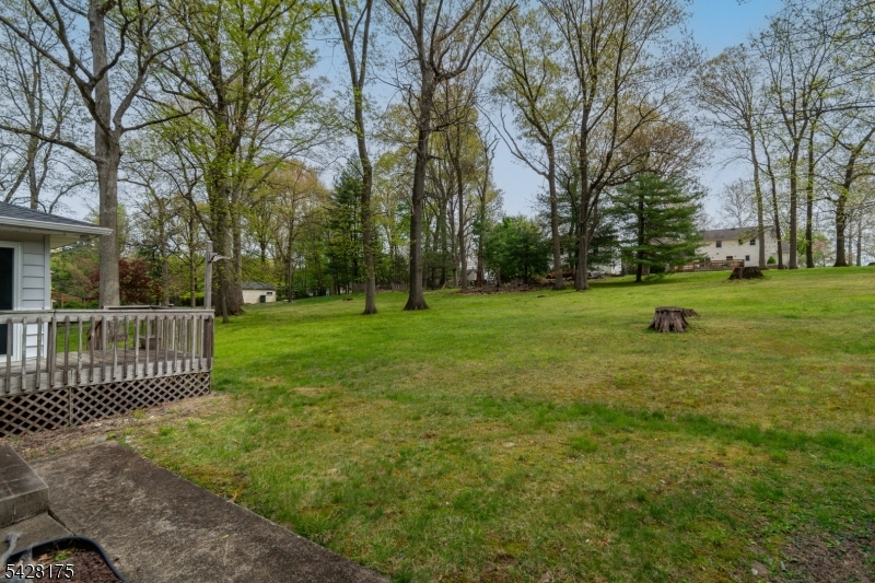 19 Floral Road Flemington, NJ 08822 - Photo 29 of 32