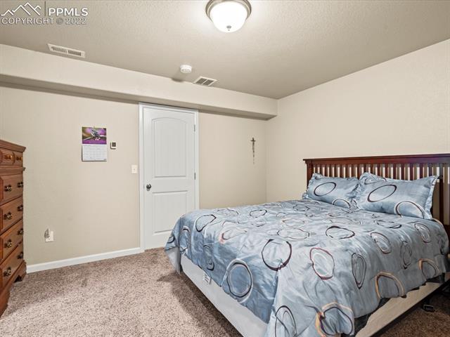 11491 Rill Point Colorado Springs, CO 80921 - Photo 30 of 38