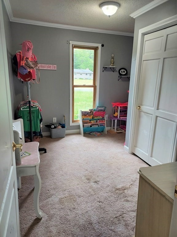 118 Strong Road Southampton, MA 01073 - Photo 15 of 25