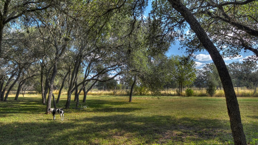 4573 Ranch Road 1120 Rio Frio, TX 78879 - Photo 53 of 70