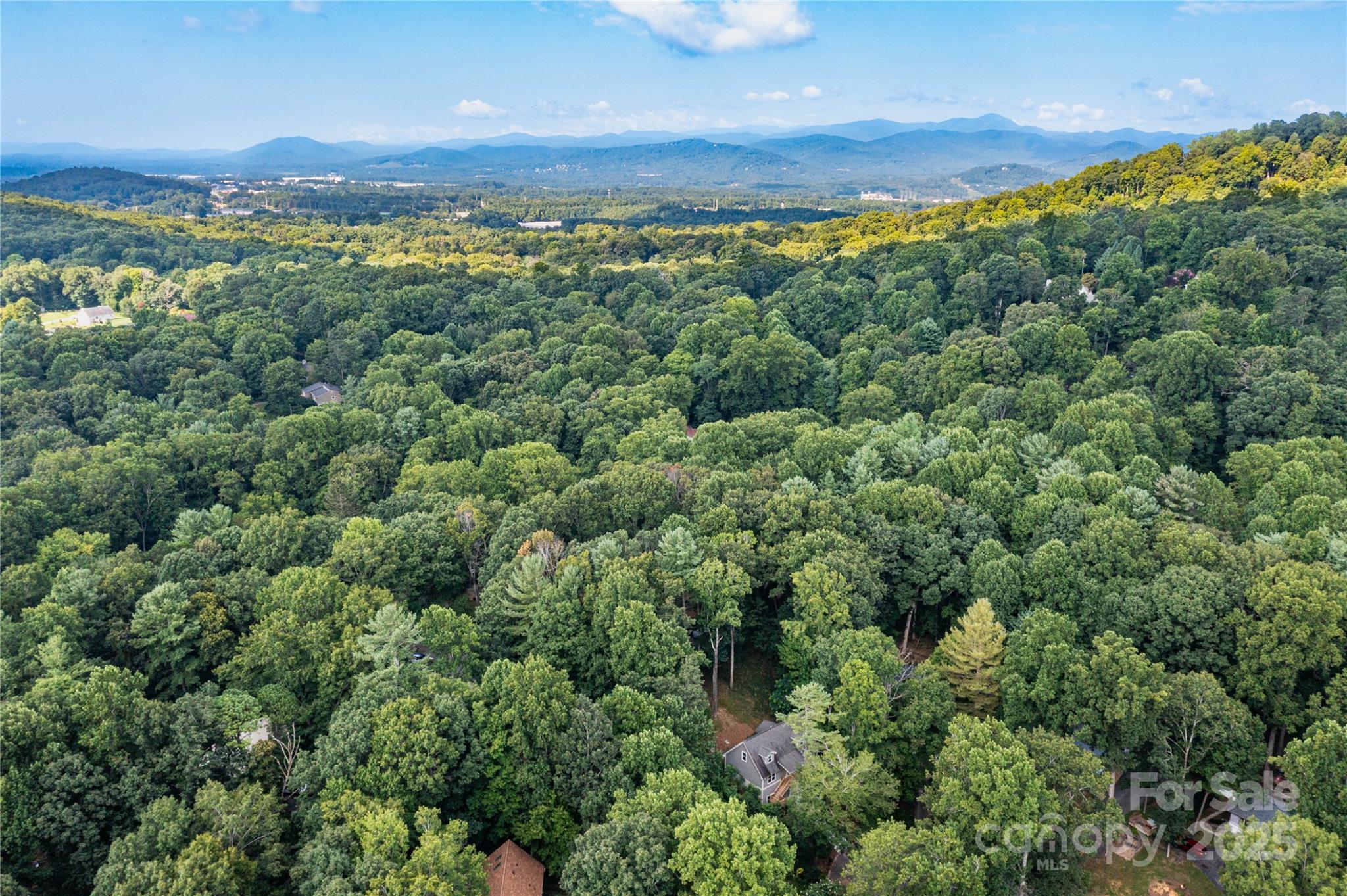 17 Mayfair Place Arden, NC 28704 - Photo 27 of 38