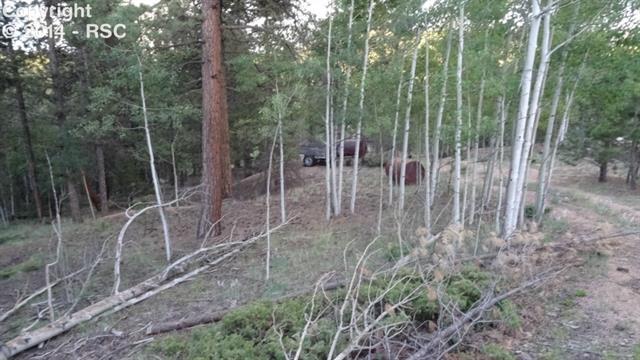 1379 Rangeview Road Divide, CO 80814 - Photo 6 of 10 Gallery Image 6
