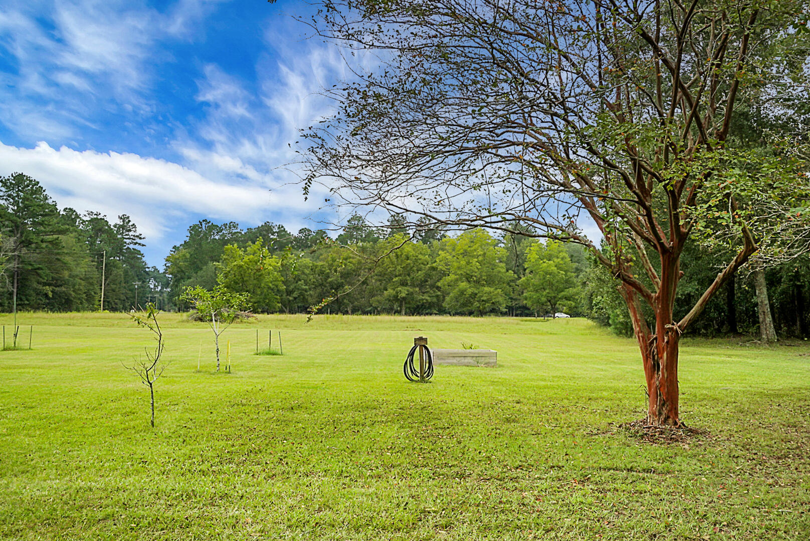 978 Independent School Road Reevesville, SC 29471 - Photo 60 of 65 DSC00991