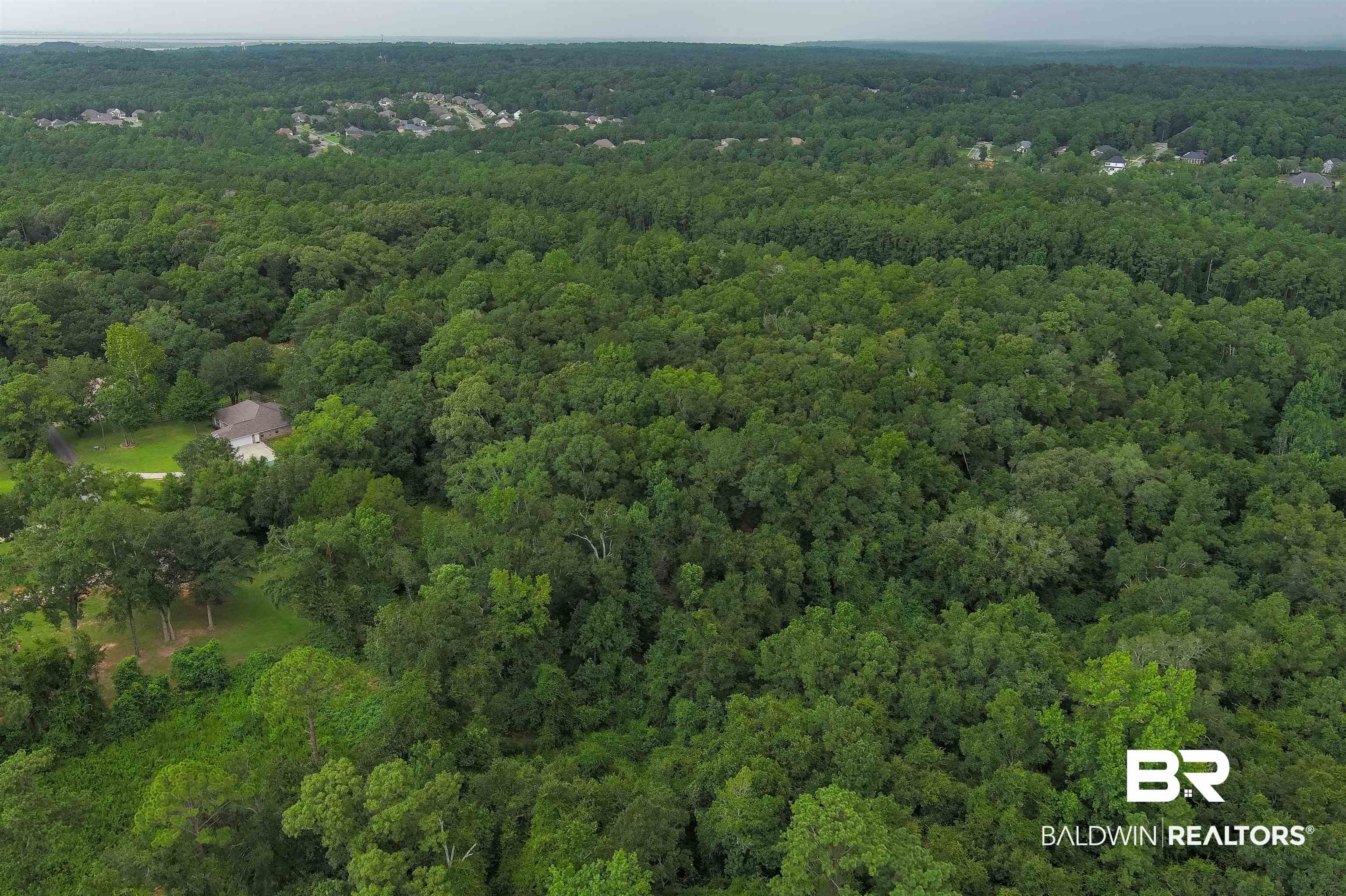 29760 Douglas Road Daphne, AL 36526 - Photo 4 of 8 Birds eye view of property