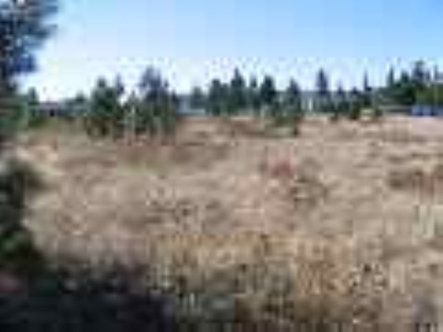 6381 Sundown Road Nine Mile Falls, WA 99026 - Photo 1 of 2 Gallery Image 1