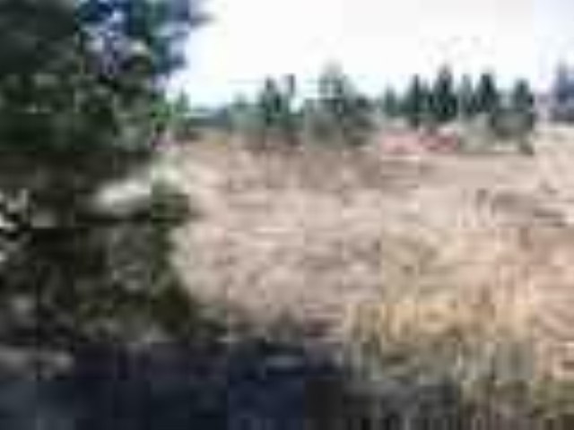 6381 Sundown Road Nine Mile Falls, WA 99026 - Photo 2 of 2 Gallery Image 2
