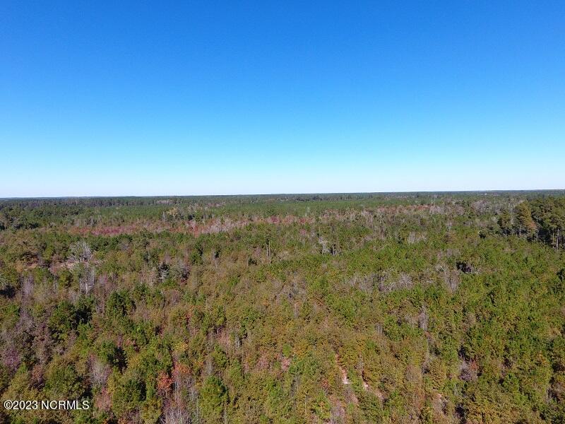 2 Pine Acres Road White Oak, NC 28399 - Photo 4 of 9 IMG_1458