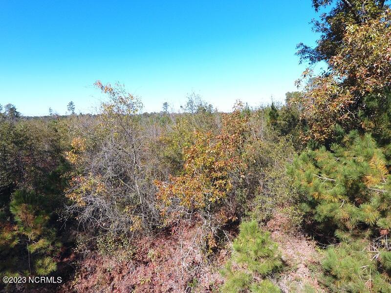 2 Pine Acres Road White Oak, NC 28399 - Photo 8 of 9 IMG_1462