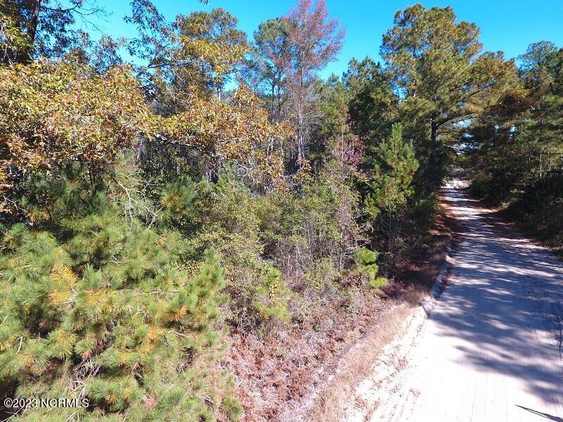 2 Pine Acres Road White Oak, NC 28399 - Photo 9 of 9 IMG_1463