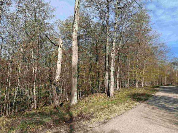 $70,000 | Tbd County Road 479 Road, McMillan, MI 49853