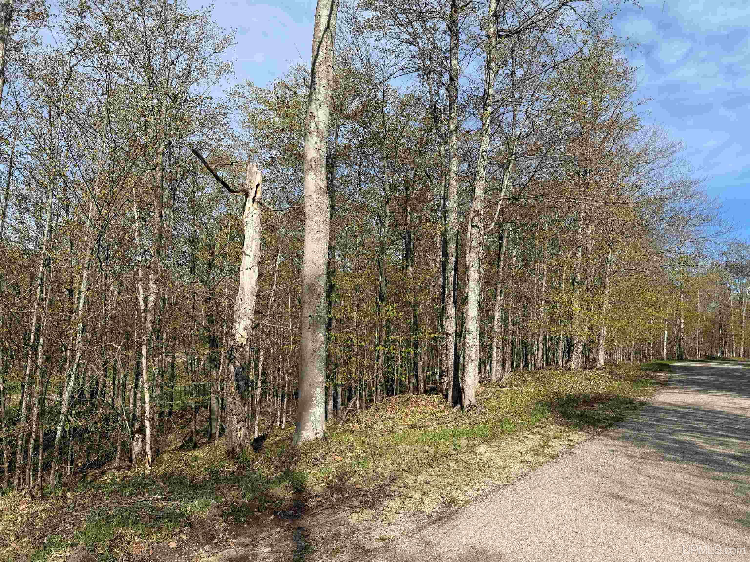 Tbd County Road 479 Road McMillan, MI 49853 - Photo 1 of 4