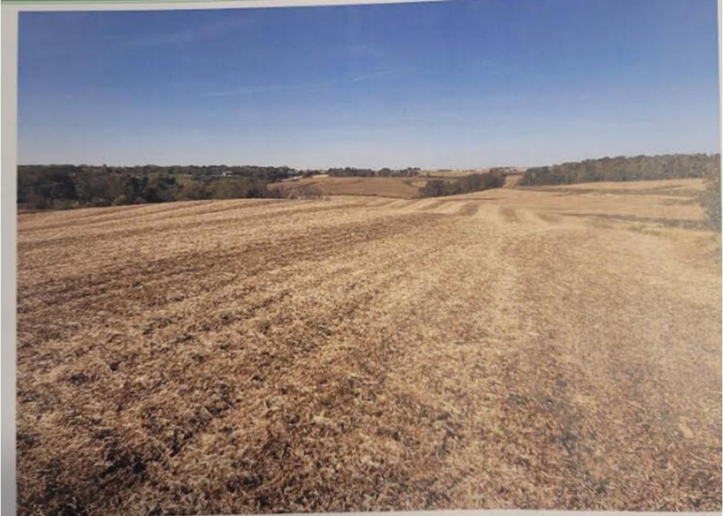Old Cass Road Anamosa, IA 52205 - Photo 1 of 1 Gallery Image 1