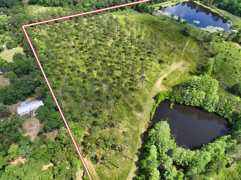 320 Robert Willis Road Cairo, GA 39827 - Photo 28 of 31 Gallery Image 28