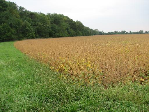 5-a (e) South Verona Road Verona, IL 60479 - Photo 1 of 1